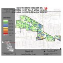 M81-Ward 45, Latino Population Percentages, by Census Blocks, Census 2010